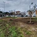 Andria ammessa a finanziamento. Assegnati dieci mila euro per il verde pubblico