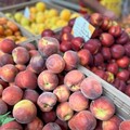 Sale la temperatura e cresce il consumo di frutta in Puglia