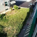 Appello al neo assessore all'Ambiente, Del Giudice: "Qui a San Valentino brucia tutto "
