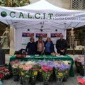 "Piantine della solidarietà" del Calcit di Andria: in un anno raddoppiata la partecipazione