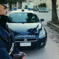 In trappola “topi d’appartamento”
