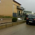 Incidente in via Togliatti, si costituisce pirata della strada