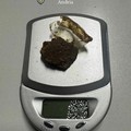 Sorpreso dalla Polizia Locale a nascondere hashish: segnalazione alla Prefettura