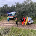 Si schianta con la sua auto contro un ulivo, dopo essere precipitato dalla tangenziale di Andria: 56enne salvo per miracolo