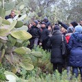 Ancora escursioni per l'associazione  "Passeggiata nel Parco Nazionale dell'alta Murgia "