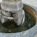 Degrado ed incuria per la storica fontana di piazza Porta la Barra