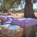 Agriturismi e ristoranti in ginocchio, la protesta della categoria