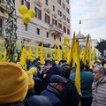 Coldiretti, mobilitazione Salvaolio: «Oggi il decreto su gelate e prossima settimana quello su xylella»
