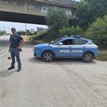 Due andriesi arrestati in flagranza per tentativo di furto d'auto