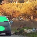 Polizia Locale: individuati ad Andria oltre 50 persone autori di abbandono rifiuti