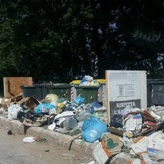 Continua lo scempio dei rifiuti sulla  "statale " per Castel del Monte