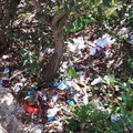 Grandi pulizie nel Parco Europa dopo la denuncia dello scempio ambientale