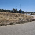 Rotatorie Andria Trani: libere dall'erba infestante ma ricolme di rifiuti di ogni tipo
