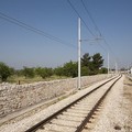 Domani sospesa la circolazione Ferrotranviaria sulla tratta Bari-Bitonto via Palese