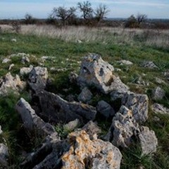 Archeotur in Puglia, tappa finale del Gal  "Le Città di Castel del Monte "