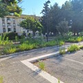 Più verde e qualche manutenzione in più al quartiere San Valentino
