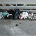 Piazzole di sosta degradate a discariche abusive: insorge il Sindacato Autonomo di Polizia