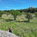 “Sarai la cura mia”: il panorama suggestivo di Castel del Monte nel singolo di Nico Liddo