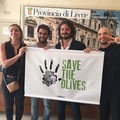 Xylella, da Andria nasce “Save the Olives "