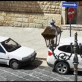 Api nidificano in via Vaglio, intervengono Polizia Municipale e Ufficio Igiene