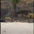 Incendio di sterpaglia alle spalle della chiesa SS. Trinità, roditori invadono l'area circostante