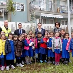 A scuola... di verde: si è tenuta ieri l'iniziativa di Fareambiente