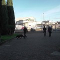 "Scuole Sicure ": firmato in Prefettura protocollo per far giungere ad Andria oltre 43mila euro