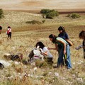 Un corso per la valorizzazione della biodiversità e del contenuto salutistico dei prodotti agroalimentari "