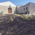 Vasto incendio in contrada San Vittore: le fiamme distruggono l'uliveto del progetto  "Senza Sbarre "