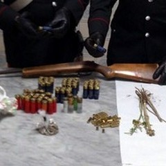 Droga, fucile e munizioni: coniugi andriesi arrestati