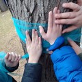 Settimana per la consapevolezza sull’autismo: l’I.C.  "Verdi-Cafaro " di Andria si tinge di blu