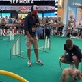 Gran Shopping Molfetta, divertimento e prove di agilità per lo "Show a 4 Zampe "