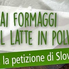 Petizione Slow Food: No al latte in polvere nei formaggi