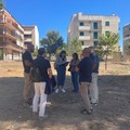 Deperimento Pineta Comunale: al via le azioni per contrastarlo
