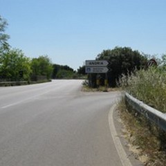 Strada provinciale  "Andriese-Coratina ": al via la gara d'appalto