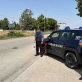 Carabinieri della Compagnia di Andria arrestano ladri d'appartamento