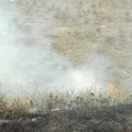Incendi in diverse parti del territorio di Andria