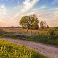 Barletta-Andria-Trani, il 2025 anno del rilancio dell’agricoltura della BAT