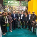 Andria a Trieste per  "Olio Capitale " con i giovani produttori del territorio