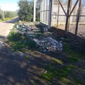 Strada provinciale 43: buche e discariche di rifiuti di ogni tipo al ciglio della strada