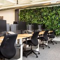 Come rendere ecosostenibile un ambiente lavorativo