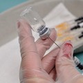 La Puglia é la regione più vaccinata d'Italia: l’86,66 % della popolazione ha ricevuto almeno una dose di vaccino anti covid