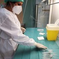 Coronavirus, bollettino di oggi: 131 nuovi casi su poco più di 10mila test