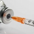 Nella Bat il 90% della popolazione over 5 anni ha ricevuto la prima dose di vaccino