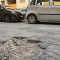 Interventi di manutenzione del verde su via Martiri di Bologna