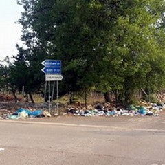 Rifiuti abbandonati: via Vecchia Spinazzola una discarica