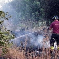 Vigili del Fuoco: nella BAT nessuna squadra per il Servizio estivo AIB