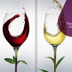 Vinitaly 2012: ad Andria una Gran Menzione con il Rosato IGT