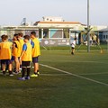 La Virtus Andria ottiene il riconoscimento di Scuola Calcio dalla FIGC
