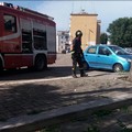 Il forte vento semina danni: alberi abbattuti e pericolo per alcuni cornicioni